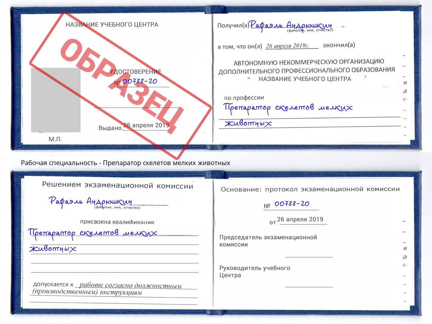 Препаратор скелетов мелких животных Тверь