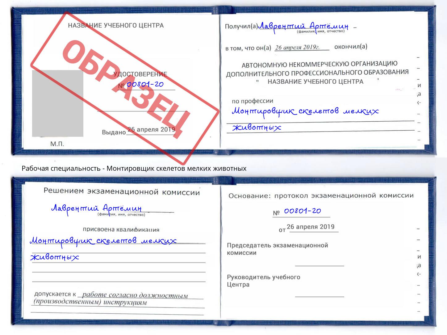 Монтировщик скелетов мелких животных Тверь