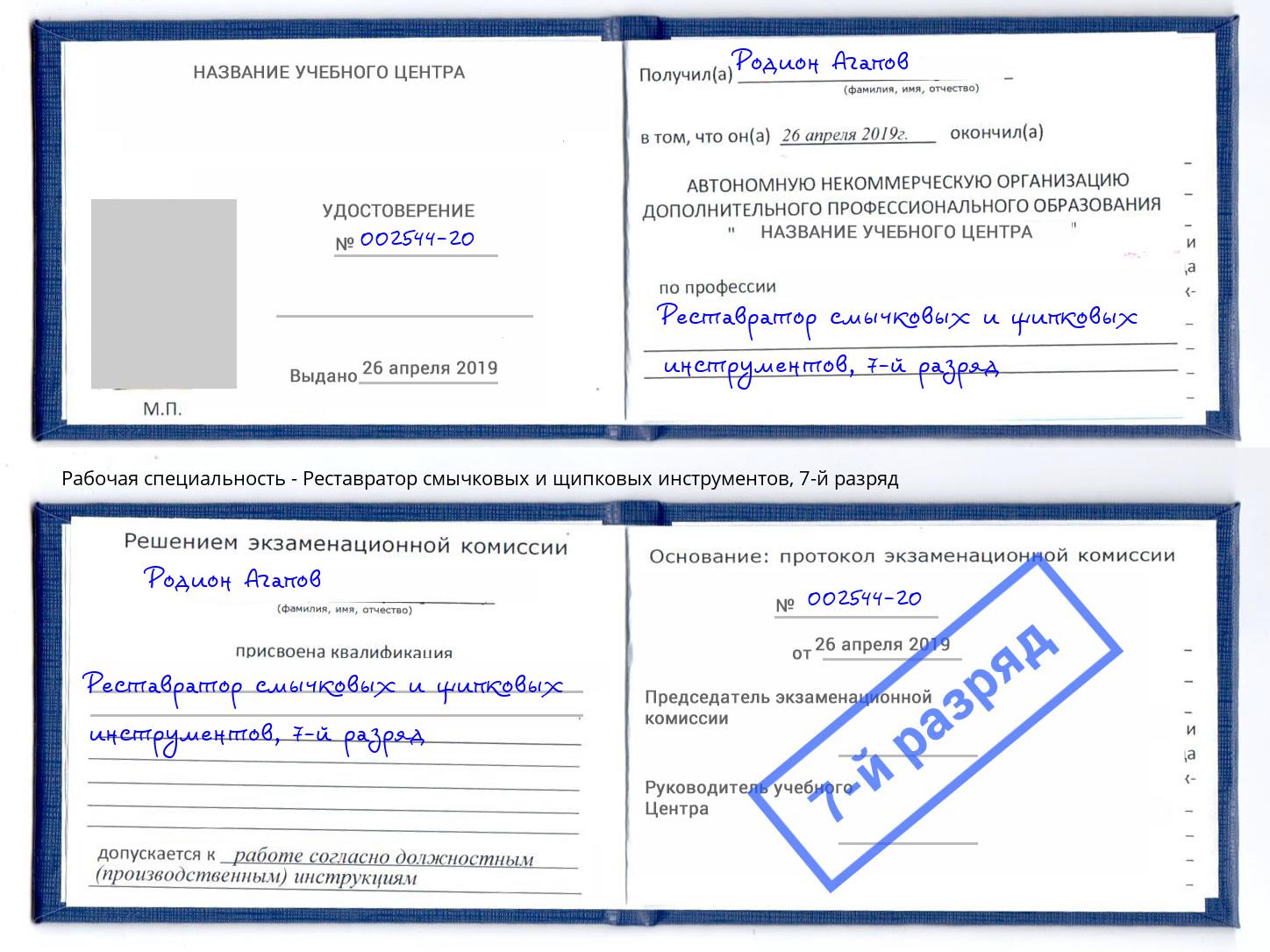 корочка 7-й разряд Реставратор смычковых и щипковых инструментов Тверь