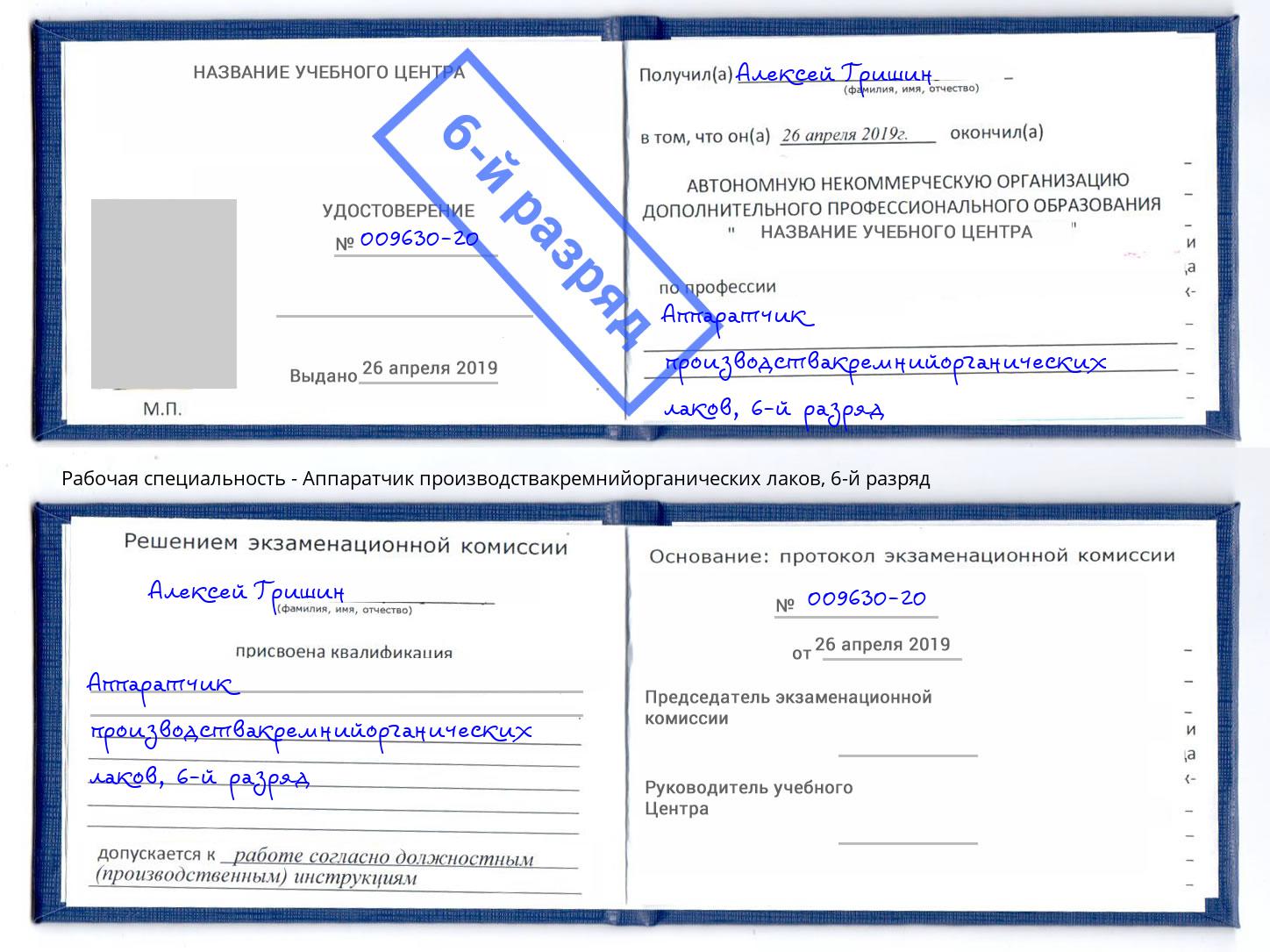 корочка 6-й разряд Аппаратчик производствакремнийорганических лаков Тверь